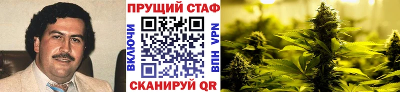A PVP Новошахтинск