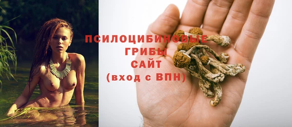 дживик Алзамай