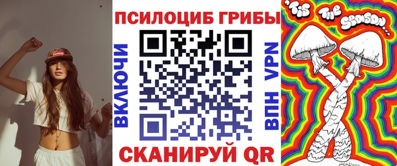 Галлюциногенные грибы Cubensis  где купить наркотик  Новошахтинск 